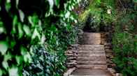 Hacienda Forest View Hotel, фото 4