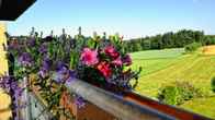 Landhotel Talblick, фото 3