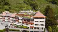 Panorama Hotel Himmelreich, фото 3
