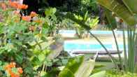 Mango Spa Country Club, фото 4
