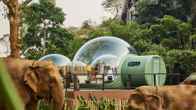 Anantara Golden Triangle Elephant Camp & Resort, фото 4