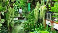 Hatthatara Resort, фото 3