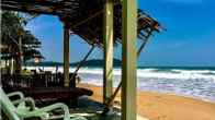 Golden Bay Cottage, фото 3