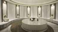 Отель Mercure Istanbul West Hotel and Convention Center, фото 3