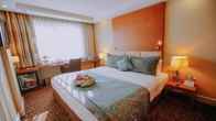 New Park Hotel , фото 2