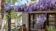 Ayii Anargyri Natural Healing Spa Resort, фото 4