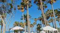 Leonardo Plaza Cypria Maris Beach Hotel & Spa, фото 3