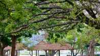 Habarana Village by Cinnamon, фото 4