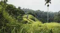 Sri Ratih Cottages, фото 3
