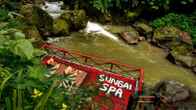 Nandini Jungle Resort & Spa Bali - CHSE Certified, фото 3