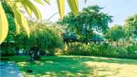 Rama Beach Resort and Villas, фото 2