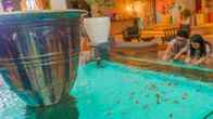 J4 Hotels Legian, фото 2