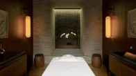 The Puli Hotel And Spa, фото 3