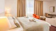 Hotel Borovnik, фото 4