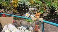 Quinta Splendida Wellness & Botanical Garden, фото 4