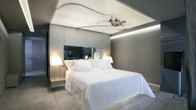 The Vine, фото 3