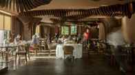 The Vine, фото 4