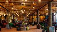 Eco Palms House - Sapa Retreat, фото 4