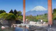 Hotel Green Plaza Hakone