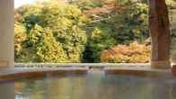 Hakone Suimeisou, фото 8