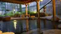 Yudanaka Tawaraya Ryokan