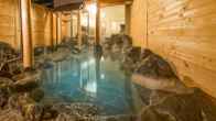 Hakuba Mominoki Hotel, фото 2