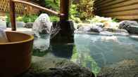Hakuba Mominoki Hotel, фото 3