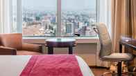 Diplomatic Hotel, фото 4