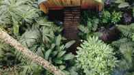 Sazagua Hotel Boutique