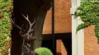 Forest of Arden Marriott Hotel & Country Club