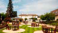 The Vineyard