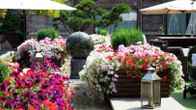 Hilton London Syon Park, фото 2