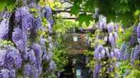 Tuinhotel