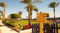 Grand Oasis Resort, фото 2