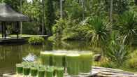 The Farm at San Benito, фото 2