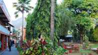 Butterfly Lodge, фото 3