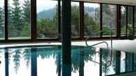 Beltine Forest Hotel, фото 2