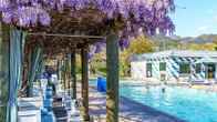 Calistoga Motor Lodge and Spa, фото 2