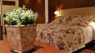 Hotel Alpestre, фото 2