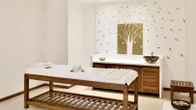 Radisson Blu Resort Goa Cavelossim Beach, фото 2
