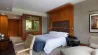 Sheraton Grand Bangalore Hotel at Brigade Gateway, фото 3
