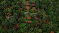 Vythiri Holiday Resorts