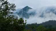 Vythiri Holiday Resorts, фото 2