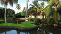 Abad Whispering Palms