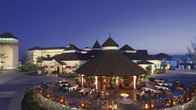 Secrets Wild Orchid