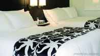 Hilton Rose Hall Resort and Spa – All Inclusive, фото 2