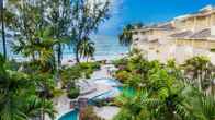 Bougainvillea Barbados, фото 3