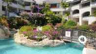 Bougainvillea Barbados, фото 16