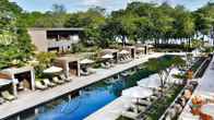 El Mangroove Papagayo, Autograph Collection