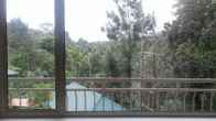Spice Grove, фото 2